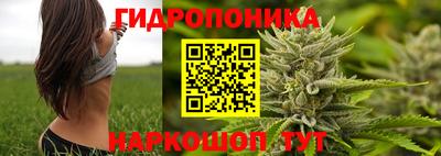 a pvp Пенза