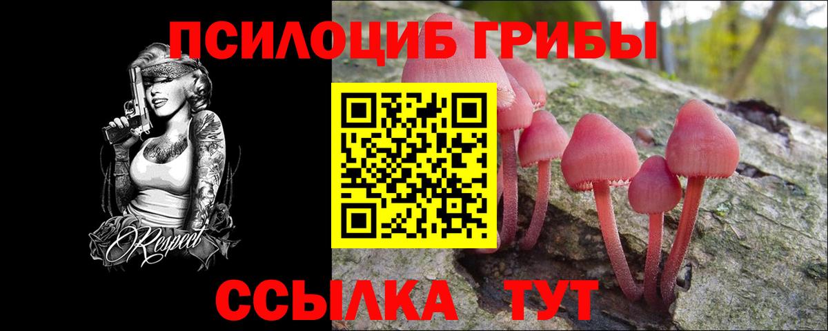 Северск  Псилоцибиновые грибы Magic Shrooms  Галлюциногенные грибы Magic Shrooms  Вход с VPN 